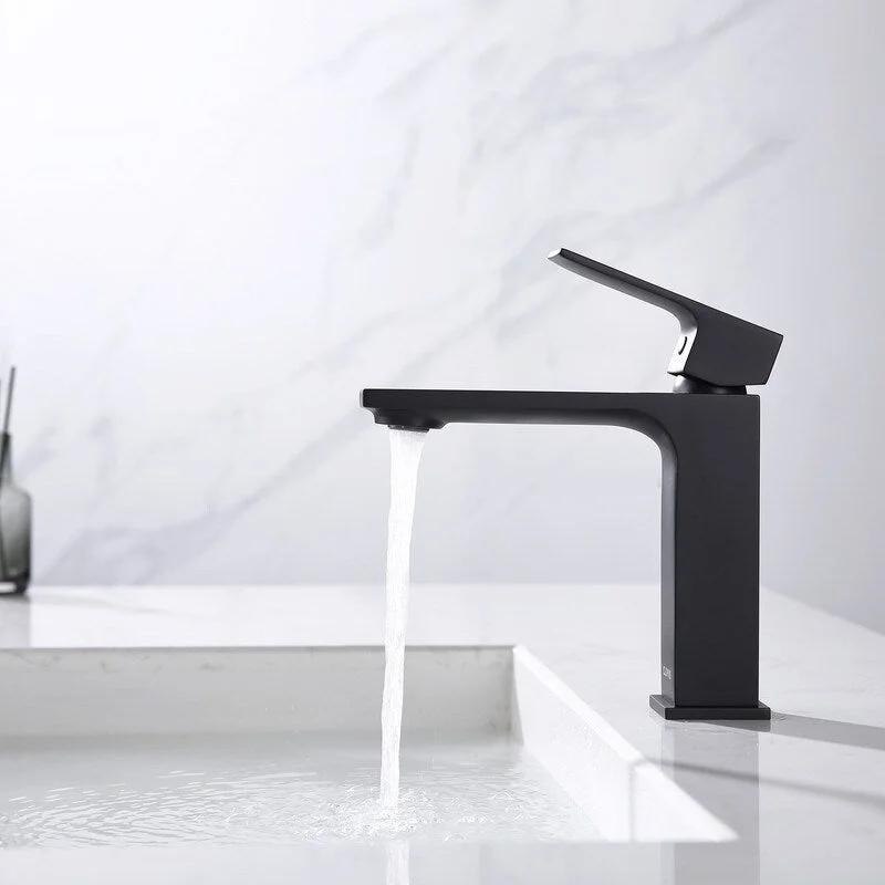 Single handle lavatory faucet with pop up drain, matte black